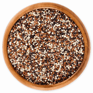 Quinua Tricolor