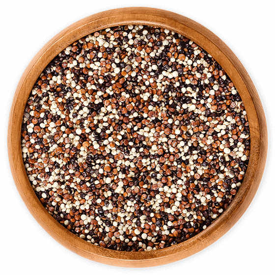 Quinua Tricolor