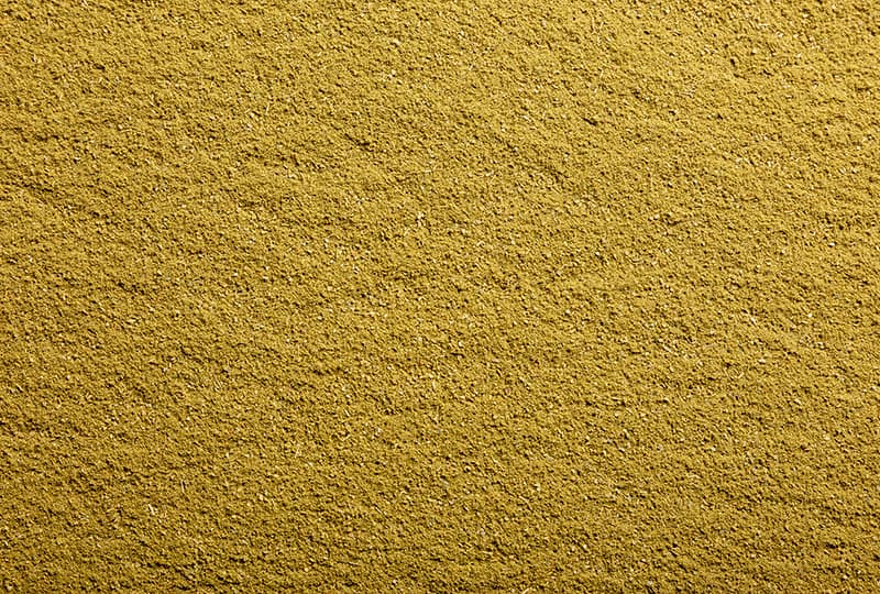 Oregano en Polvo