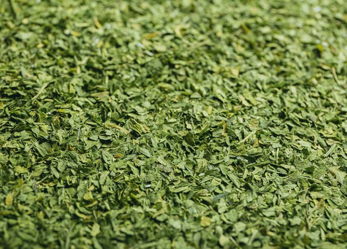 Hierbas aromáticas